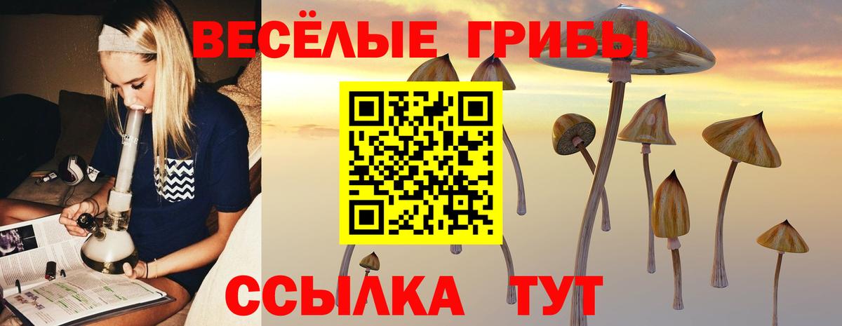 Минеральные Воды  цены наркотик  Вход с VPN  Псилоцибиновые грибы MAGIC MUSHROOMS 